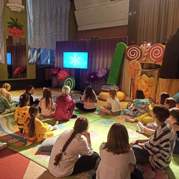 "Вход с подушками"