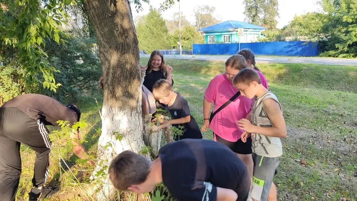 IMG_20250813_181623 (1)