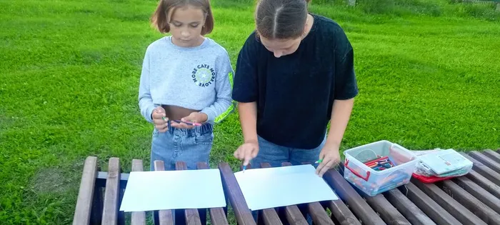 5 (11)