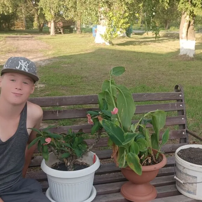 Игровая программа «Цветами улыбается Земля»