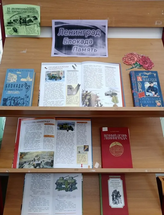 IMG_20250119_132943_467-1-1