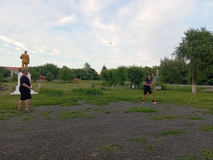 6