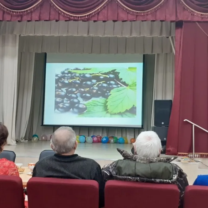 «Приметы и суеверия» посиделки
