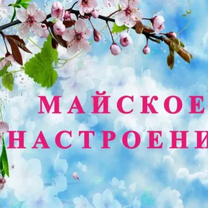 Развлекательная диско-программа «Майское настроение»