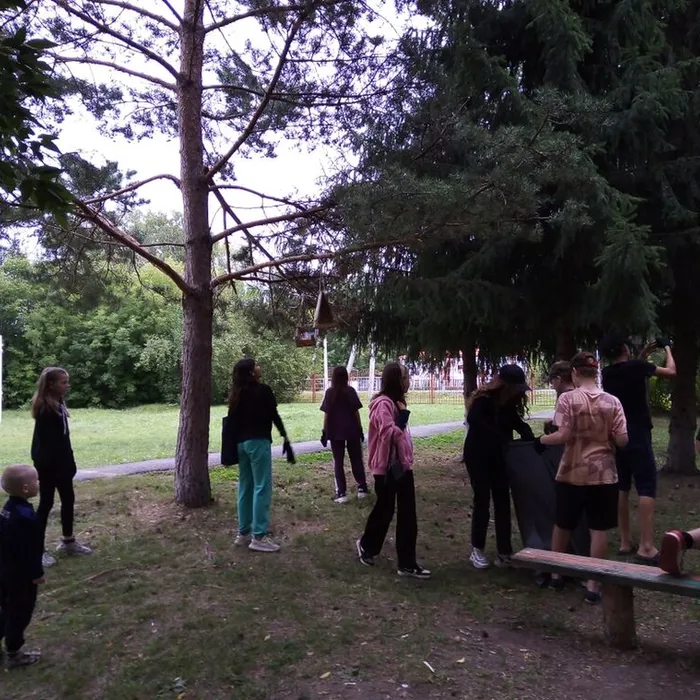 «Лесные тропинки»