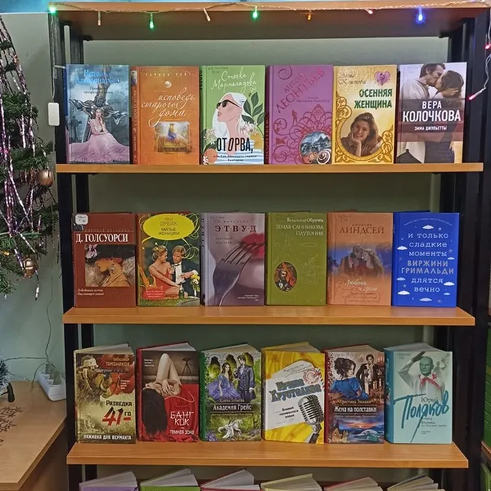«Книжные выставки в библиотеке»